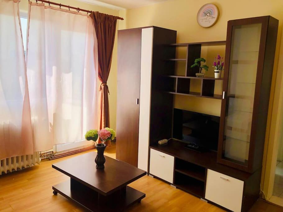 Joy City Stay Lucaciu 16 Тимишоара Экстерьер фото