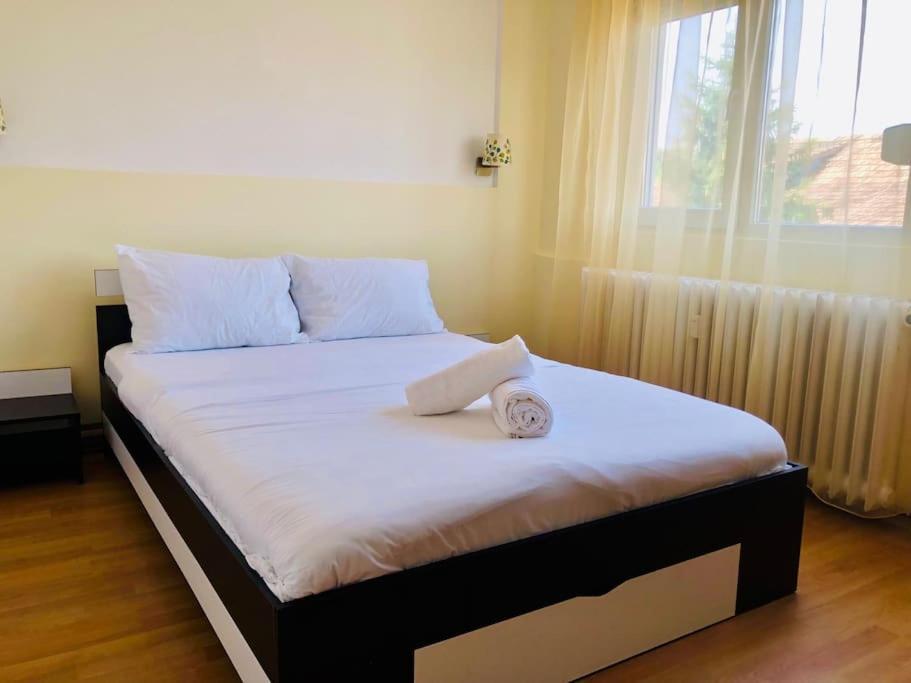 Joy City Stay Lucaciu 16 Тимишоара Экстерьер фото